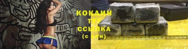 прущие грибы Покров