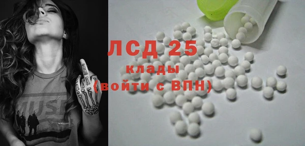 прущие грибы Покров