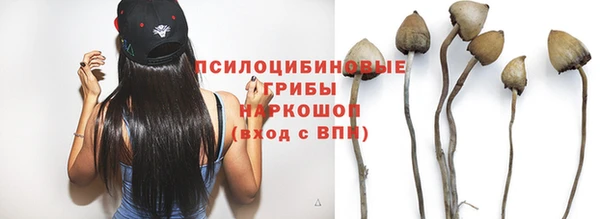 мяу мяу мука Приозерск