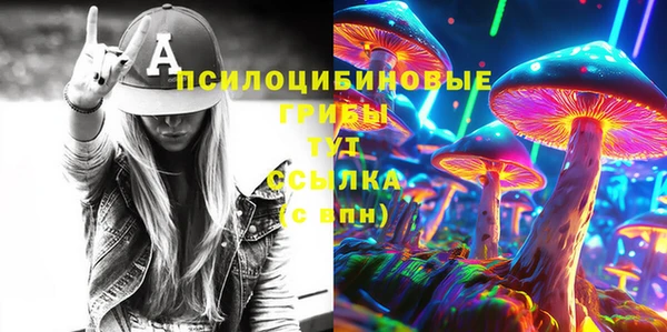 прущие грибы Покров