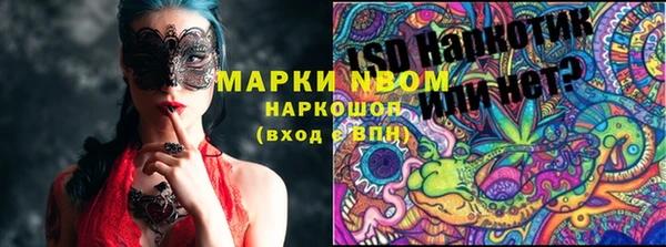 прущие грибы Покров