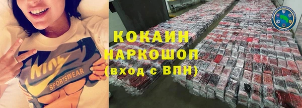 прущие грибы Покров