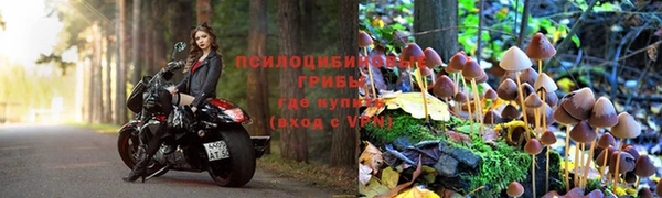 мяу мяу мука Приозерск