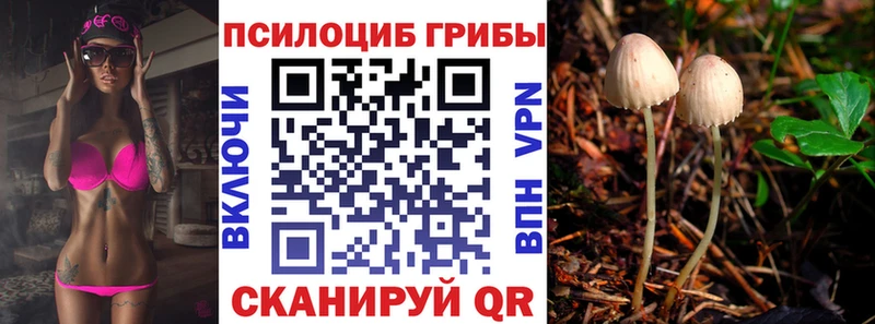 кракен как зайти  Тутаев  Псилоцибиновые грибы прущие грибы 