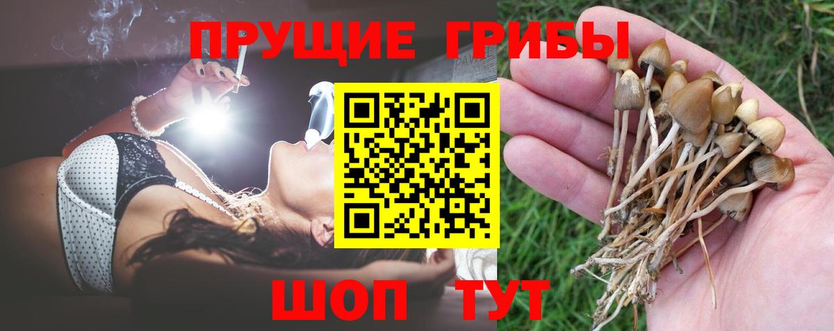 Псилоцибиновые грибы GOLDEN TEACHER Тутаев
